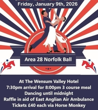 Norfolk Area Ball! Norfolk Area Ball!
